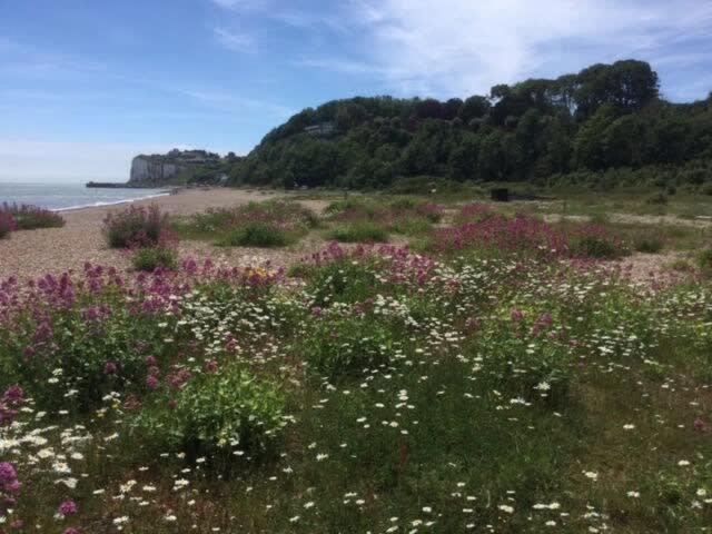 Mariner'S Cottage - On Kingsdown Beach Deal Esterno foto