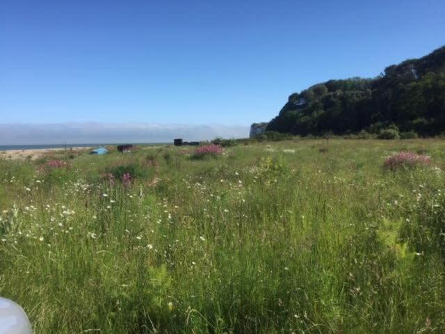 Mariner'S Cottage - On Kingsdown Beach Deal Esterno foto